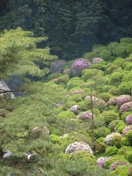 塩船観音寺の景色