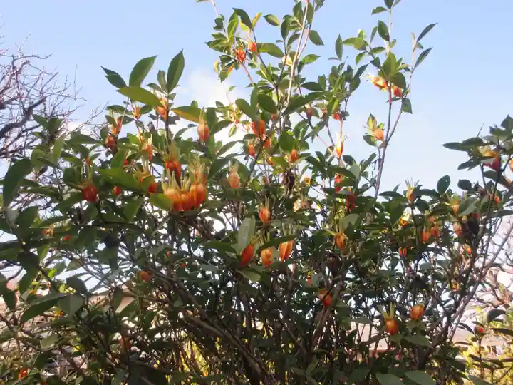 観藏院(東京都)