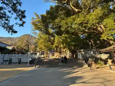大麻比古神社(徳島県)
