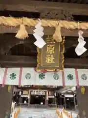 佐嘉神社／松原神社の本殿