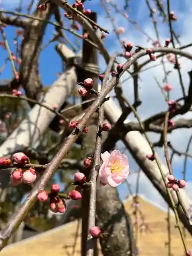 伊勢の国 四天王寺の自然