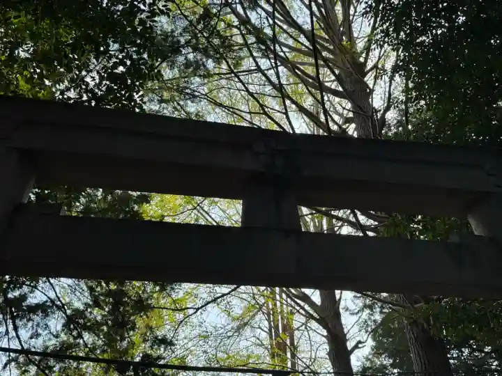 土支田八幡宮の{uncategorized: "未分類", other: "その他", undefined: "問題あり", building: "その他建物", grave: "お墓", sacred_gate: "鳥居", guardian: "狛犬", statue: "像", buddha: "仏像", history: "歴史", nature: "自然", garden: "庭園", animal: "動物", pagoda: "塔", temizu: "手水舎", mountain_gate: "山門・神門", sanctuary: "本殿・本堂", subordinate: "末社・摂社", art: "芸術", scenery: "景色", jizo: "地蔵", ema: "絵馬", goshuin: "御朱印", omikuji: "おみくじ", items: "授与品その他", amulet: "お守り", goshuincho: "御朱印帳", eats: "食事", festival: "お祭り", votive_dance: "神楽", shichigosan: "七五三参", wedding: "結婚式", experience: "体験その他", initially: "初詣", around: "周辺", anti_infection: "感染症対策"}