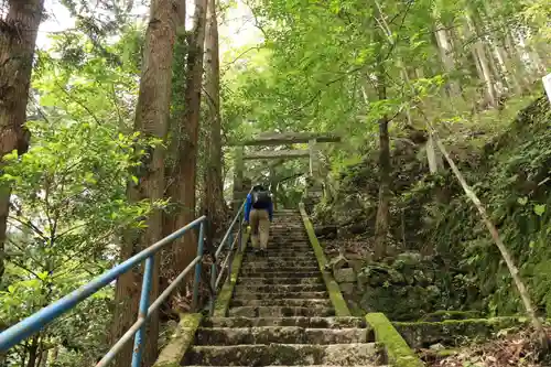 白髭神社(東京都)