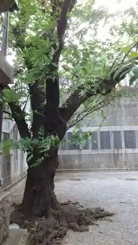 元三島神社(東京都)