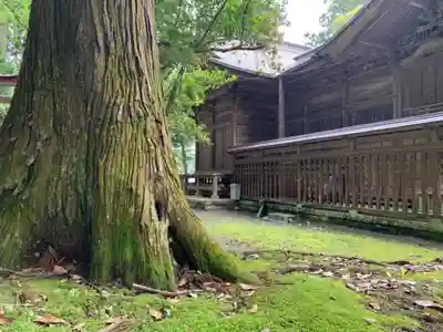 諏訪神社の本殿・本堂
