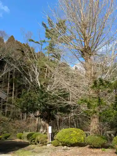 函館八幡宮の自然