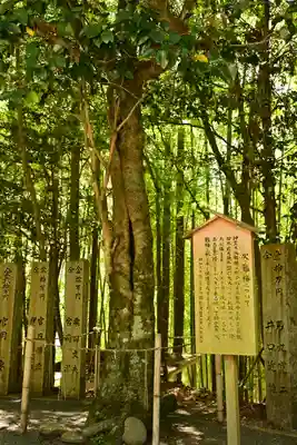 岡森神社(愛媛県)