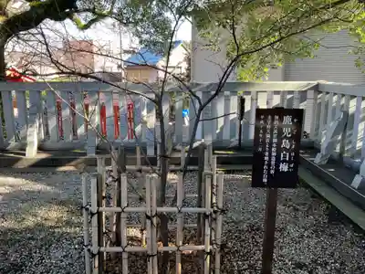 加納天満宮の庭園