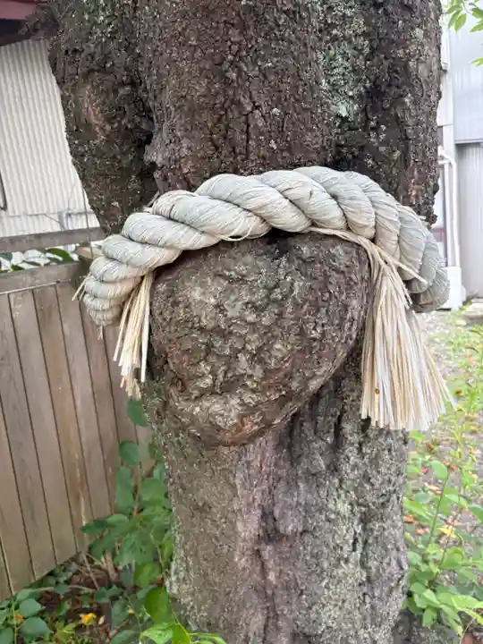 小室浅間神社(山梨県)