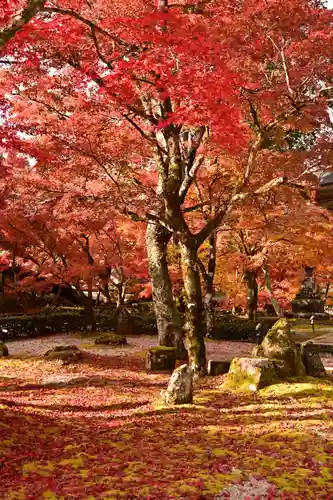 永源寺(滋賀県)