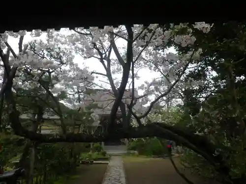 教恩寺のその他建物