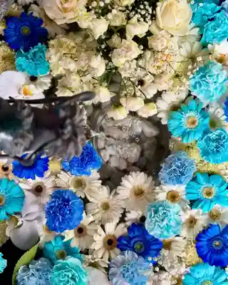 札幌諏訪神社の手水舎