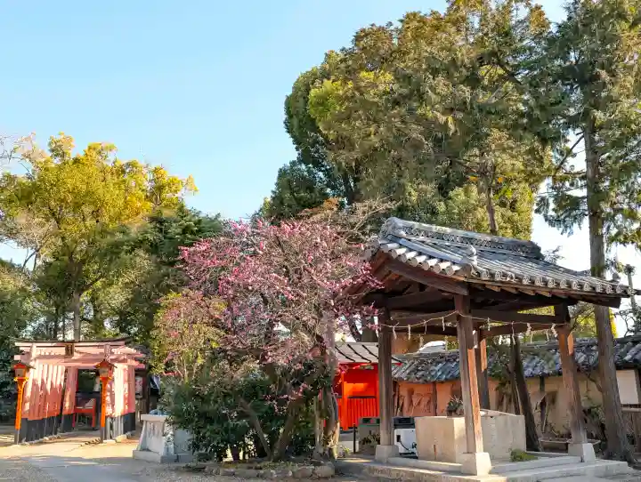 片埜神社の{uncategorized: "未分類", other: "その他", undefined: "問題あり", building: "その他建物", grave: "お墓", sacred_gate: "鳥居", guardian: "狛犬", statue: "像", buddha: "仏像", history: "歴史", nature: "自然", garden: "庭園", animal: "動物", pagoda: "塔", temizu: "手水舎", mountain_gate: "山門・神門", sanctuary: "本殿・本堂", subordinate: "末社・摂社", art: "芸術", scenery: "景色", jizo: "地蔵", ema: "絵馬", goshuin: "御朱印", omikuji: "おみくじ", items: "授与品その他", amulet: "お守り", goshuincho: "御朱印帳", eats: "食事", festival: "お祭り", votive_dance: "神楽", shichigosan: "七五三参", wedding: "結婚式", experience: "体験その他", initially: "初詣", around: "周辺", anti_infection: "感染症対策"}