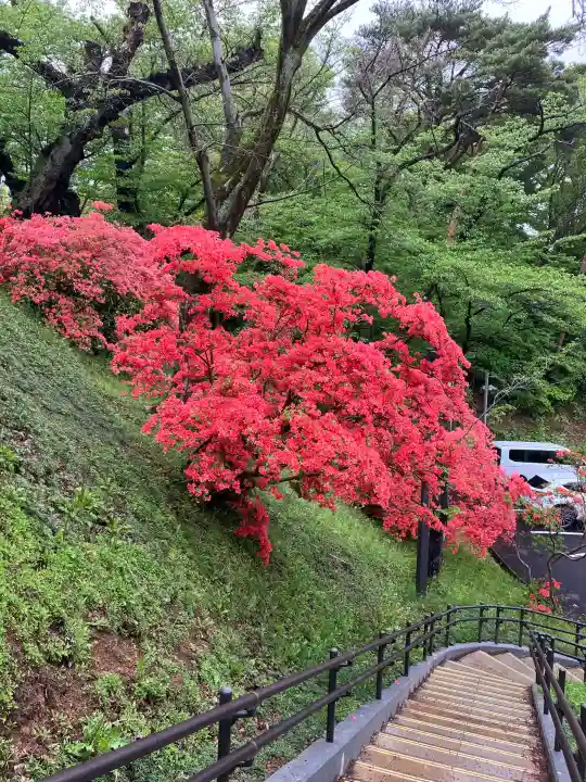 彌高神社の{uncategorized: "未分類", other: "その他", undefined: "問題あり", building: "その他建物", grave: "お墓", sacred_gate: "鳥居", guardian: "狛犬", statue: "像", buddha: "仏像", history: "歴史", nature: "自然", garden: "庭園", animal: "動物", pagoda: "塔", temizu: "手水舎", mountain_gate: "山門・神門", sanctuary: "本殿・本堂", subordinate: "末社・摂社", art: "芸術", scenery: "景色", jizo: "地蔵", ema: "絵馬", goshuin: "御朱印", omikuji: "おみくじ", items: "授与品その他", amulet: "お守り", goshuincho: "御朱印帳", eats: "食事", festival: "お祭り", votive_dance: "神楽", shichigosan: "七五三参", wedding: "結婚式", experience: "体験その他", initially: "初詣", around: "周辺", anti_infection: "感染症対策"}