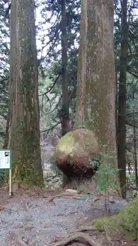 花園神社(茨城県)