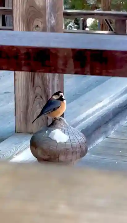 蚊里田八幡宮の{uncategorized: "未分類", other: "その他", undefined: "問題あり", building: "その他建物", grave: "お墓", sacred_gate: "鳥居", guardian: "狛犬", statue: "像", buddha: "仏像", history: "歴史", nature: "自然", garden: "庭園", animal: "動物", pagoda: "塔", temizu: "手水舎", mountain_gate: "山門・神門", sanctuary: "本殿・本堂", subordinate: "末社・摂社", art: "芸術", scenery: "景色", jizo: "地蔵", ema: "絵馬", goshuin: "御朱印", omikuji: "おみくじ", items: "授与品その他", amulet: "お守り", goshuincho: "御朱印帳", eats: "食事", festival: "お祭り", votive_dance: "神楽", shichigosan: "七五三参", wedding: "結婚式", experience: "体験その他", initially: "初詣", around: "周辺", anti_infection: "感染症対策"}