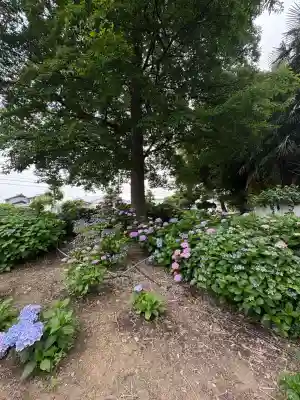 性海寺(愛知県)