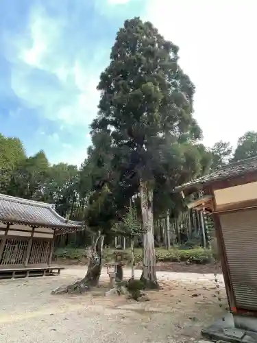 須賀神社(滋賀県)