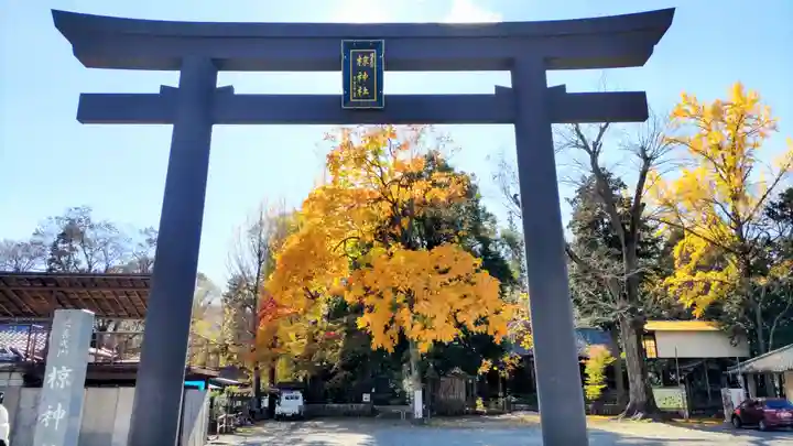椋神社の鳥居