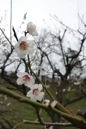 豊國神社の自然