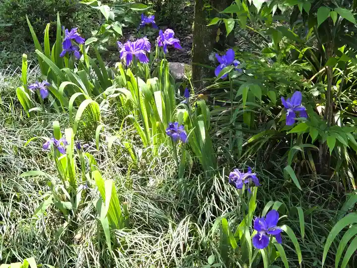 國分寺(高知県)