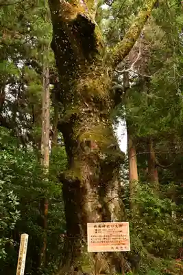 祇園神社(宮崎県)