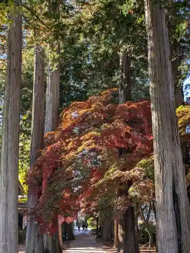 長圓寺(長野県)