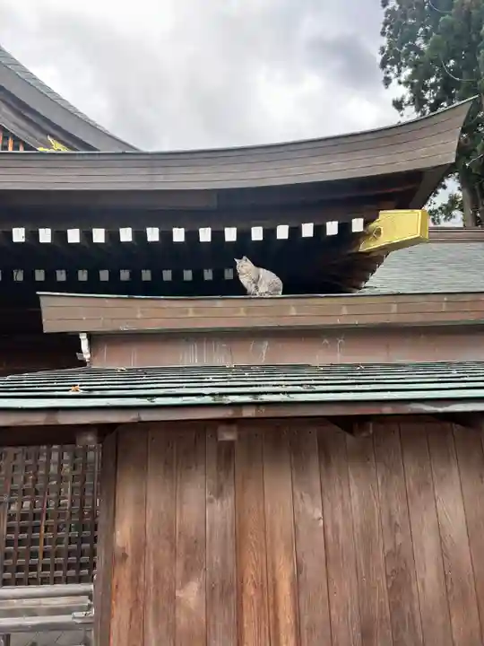 櫻山神社(岩手県)