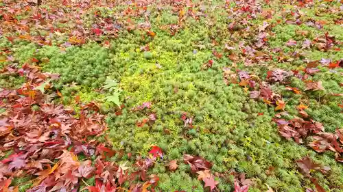 三千院門跡(京都府)