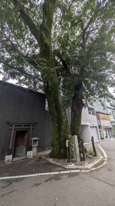 榎木大明神(京都府)