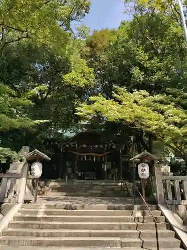 堤治神社の本殿