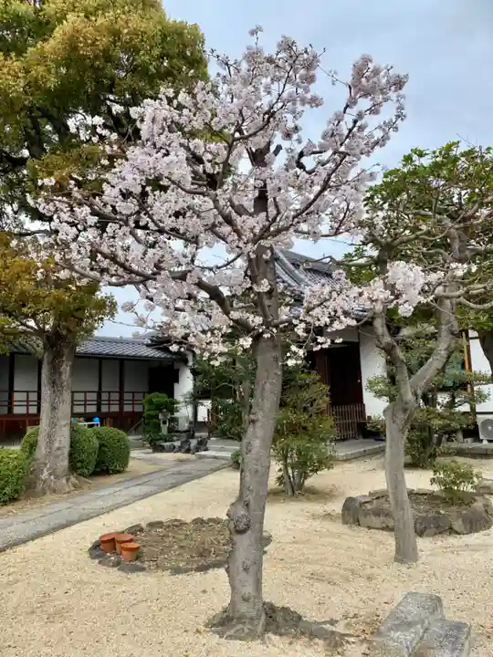 實相寺(実相寺) (京都府)