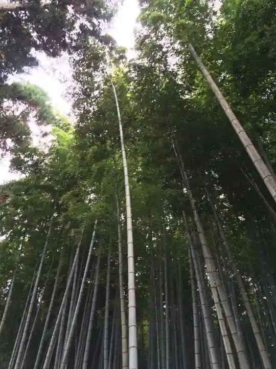 武雄神社(佐賀県)