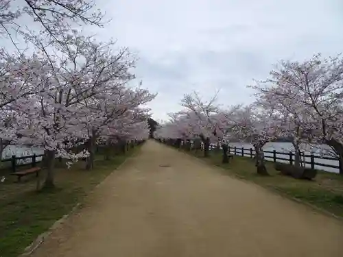 宇佐神社の建物その他