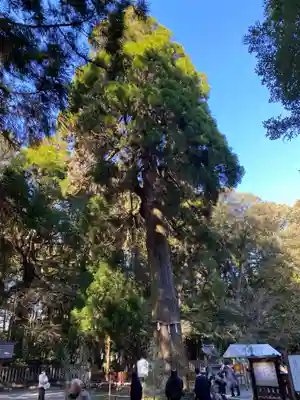 狭野神社(宮崎県)