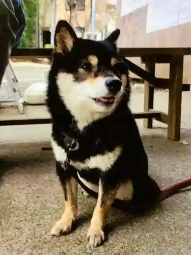 上目黒氷川神社(東京都)