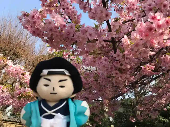 新井薬師(梅照院)(東京都)