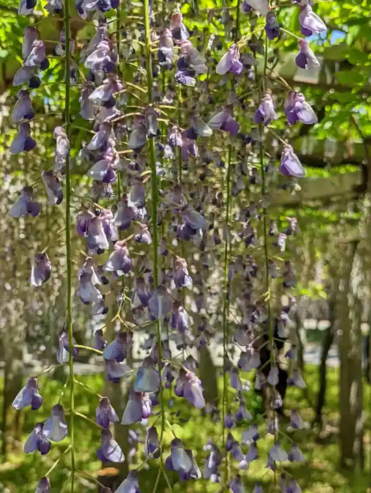三大神社(滋賀県)