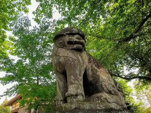 針ヶ谷氷川神社の狛犬