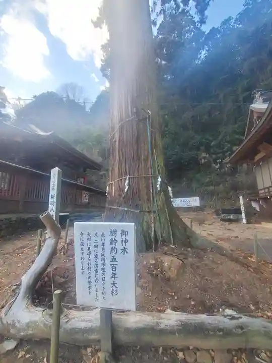 樺崎八幡宮(栃木県)