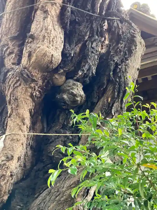 大森山王日枝神社(東京都)