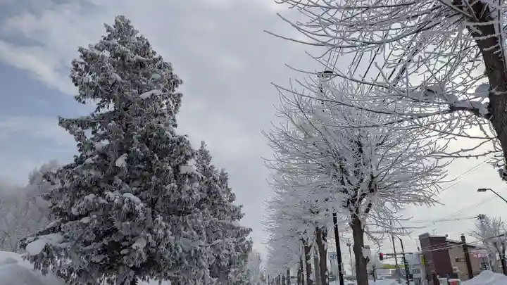 上川神社の周辺