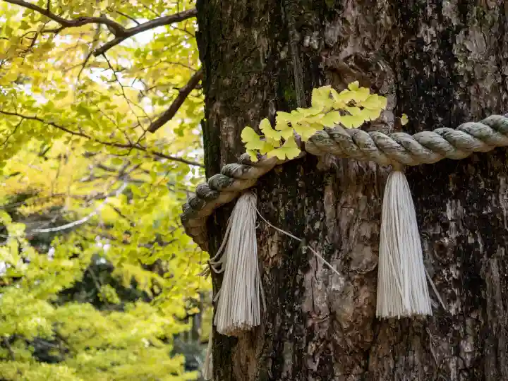 赤坂氷川神社(東京都)