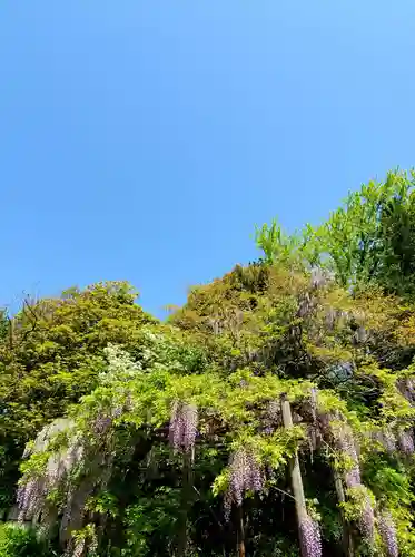 神炊館神社 ⁂奥州須賀川総鎮守⁂の庭園