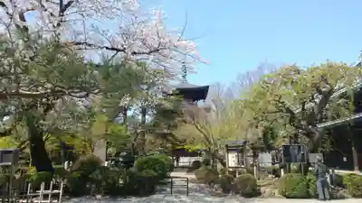 豪徳寺のその他建物