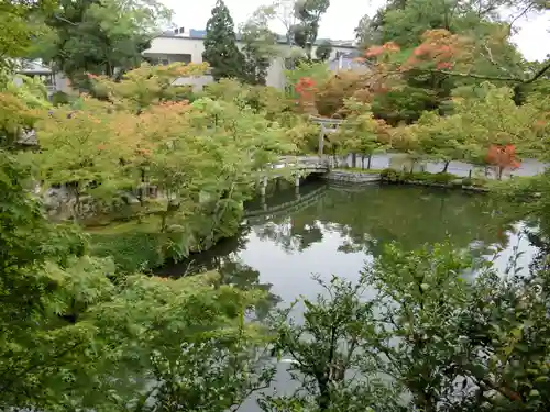 禅林寺（永観堂）の庭園