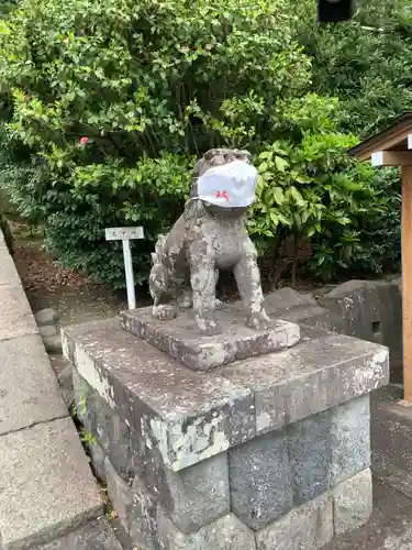 鶴岡八幡宮の狛犬