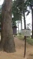 八幡神社の歴史