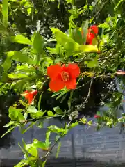 鹿島台神社の自然