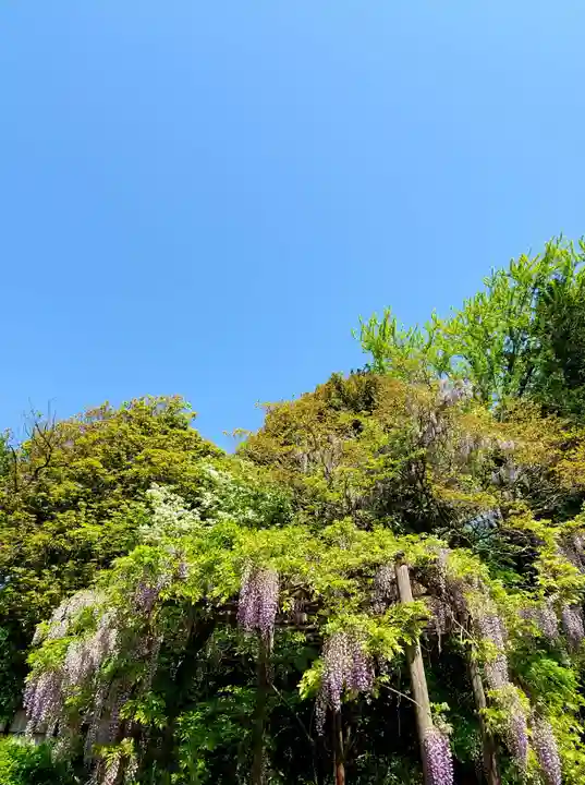 神炊館神社 ⁂奥州須賀川総鎮守⁂の庭園